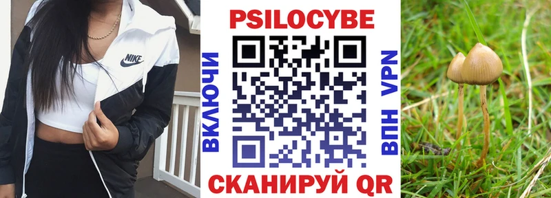 blacksprut tor  Грязовец  Галлюциногенные грибы прущие грибы 